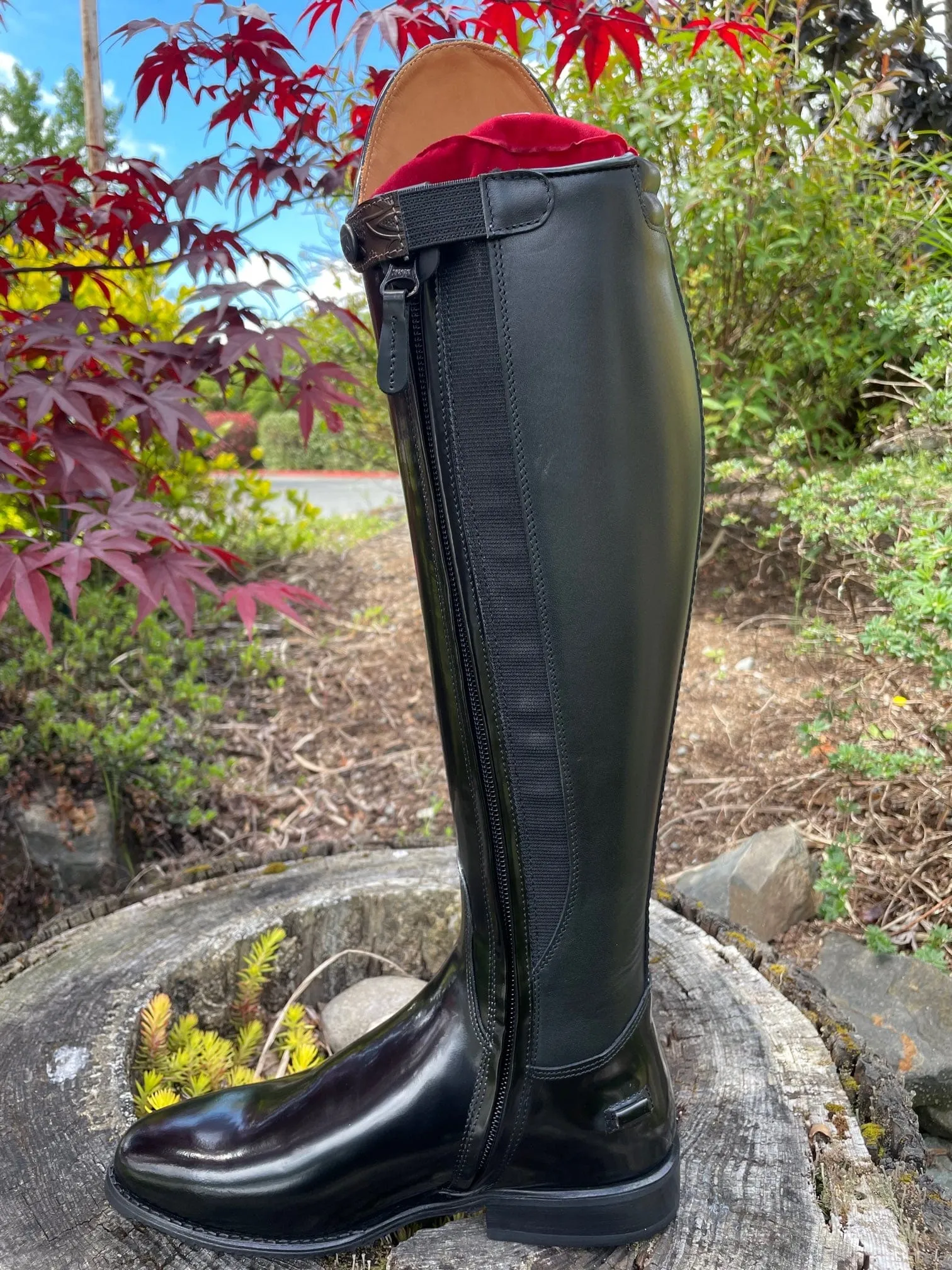 Custom DeNiro Bellini Dressage Boot - Brushed Black with Greta Brown America Top & Swarovski