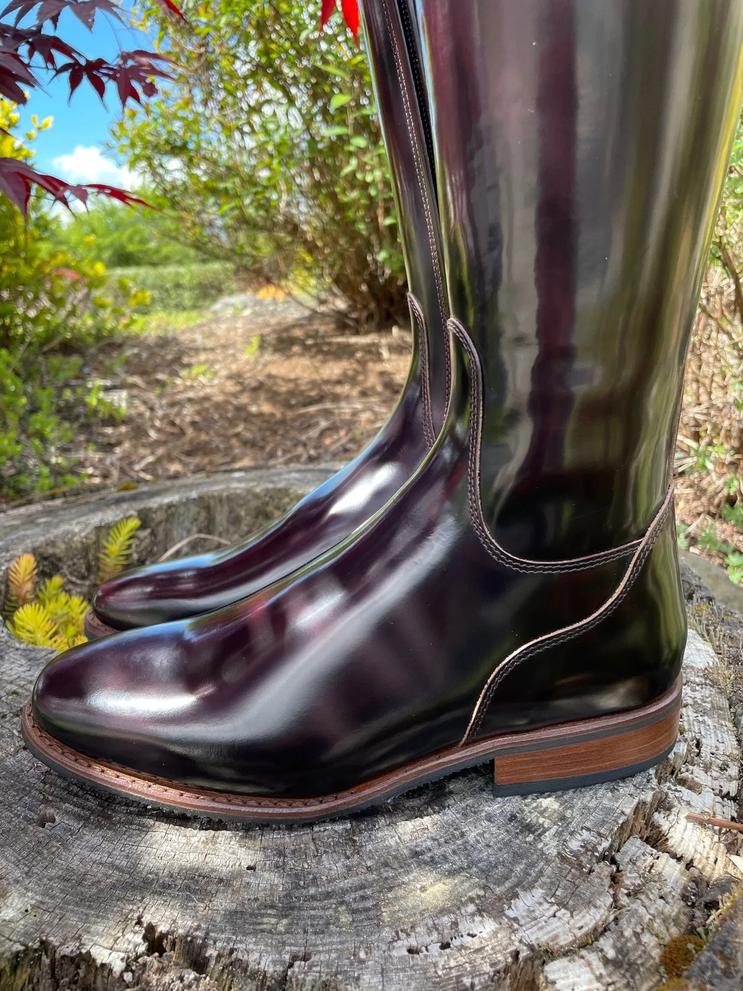 Custom DeNiro Bellini Dressage Boot - Brushed Burgundy with Lisa Top in Bordeaux Buongiorno & Bordeaux Swarovski Fineline