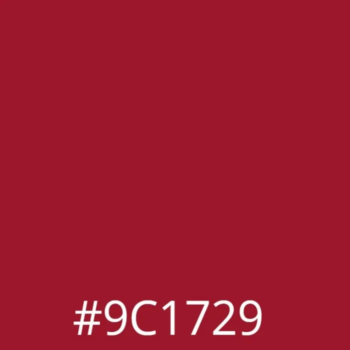 Leather Colour Cream Kit - Cherry