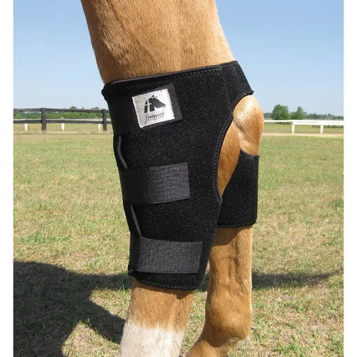 Liquid Titanium Therapeutic Hock Boots