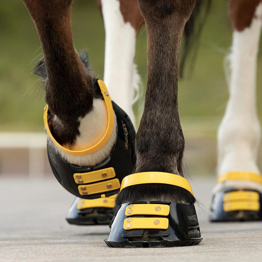 Pastern Strap Pack
