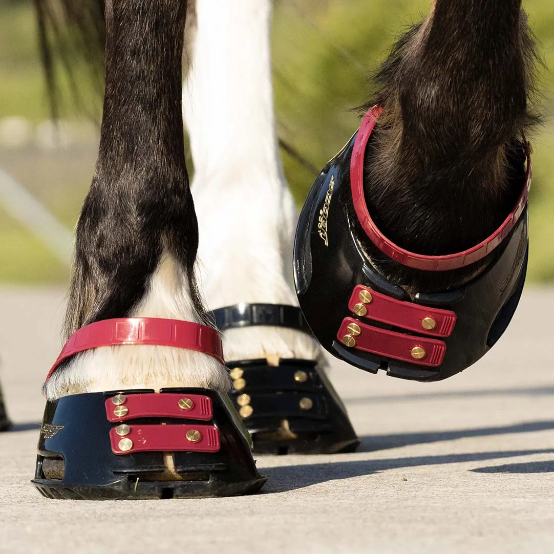 Pastern Strap Pack