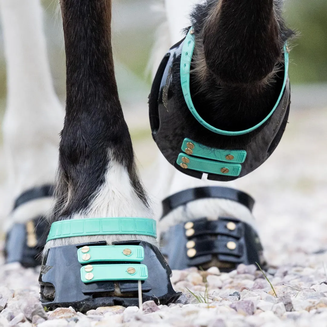 Pastern Strap Pack