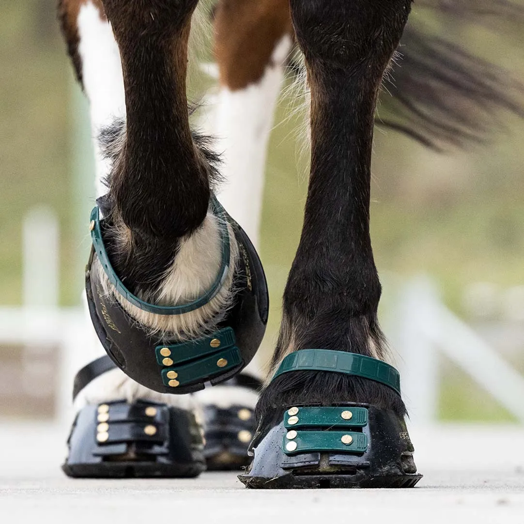Pastern Strap Pack