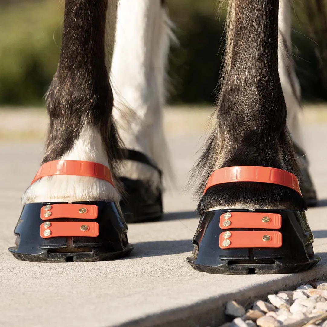 Pastern Strap Pack