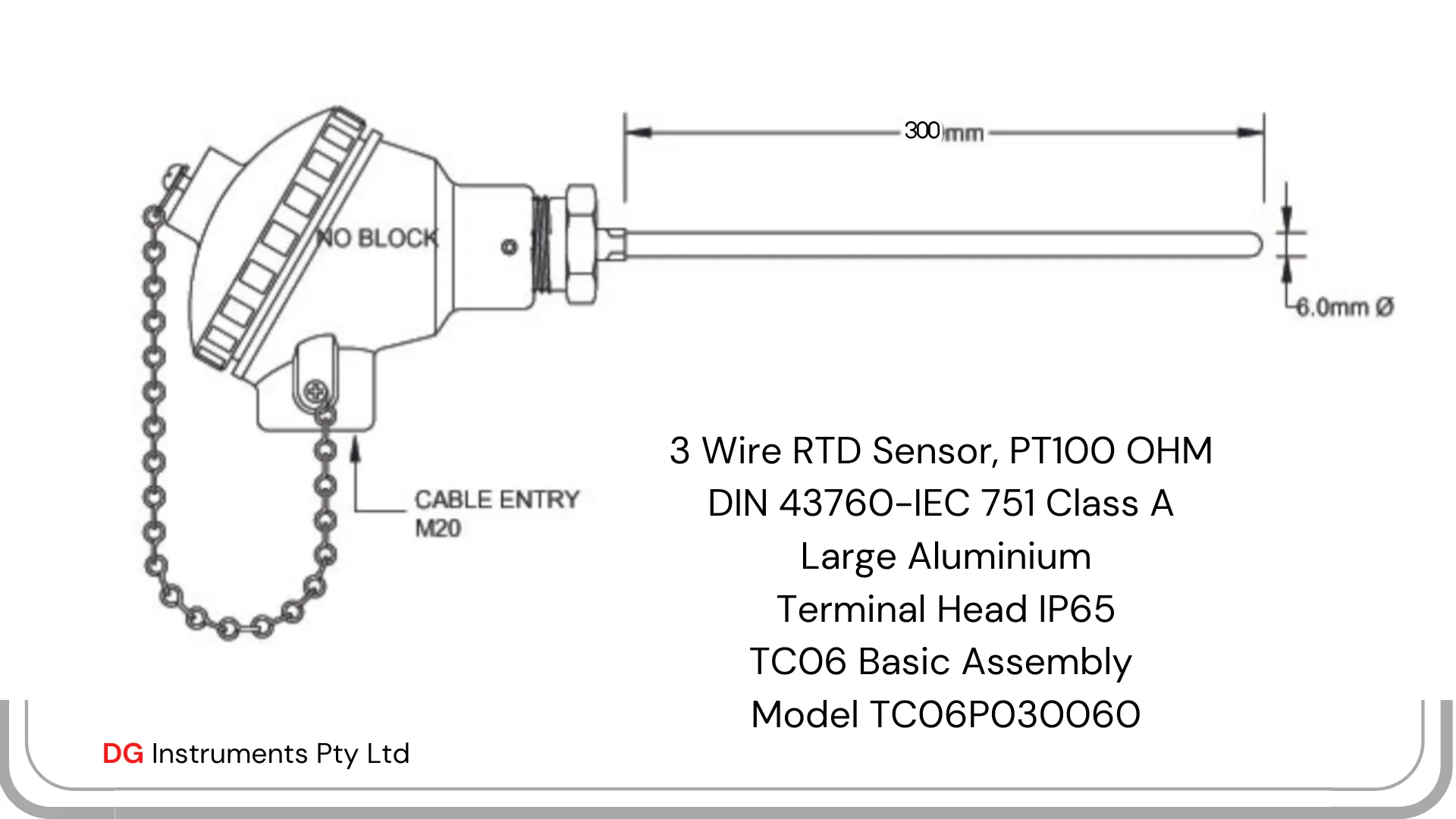 RTD Sensors with Large Terminal Head & Temperature Transmitter