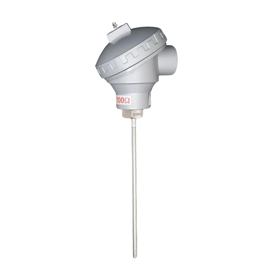 RTD Sensors with Large Terminal Head & Temperature Transmitter