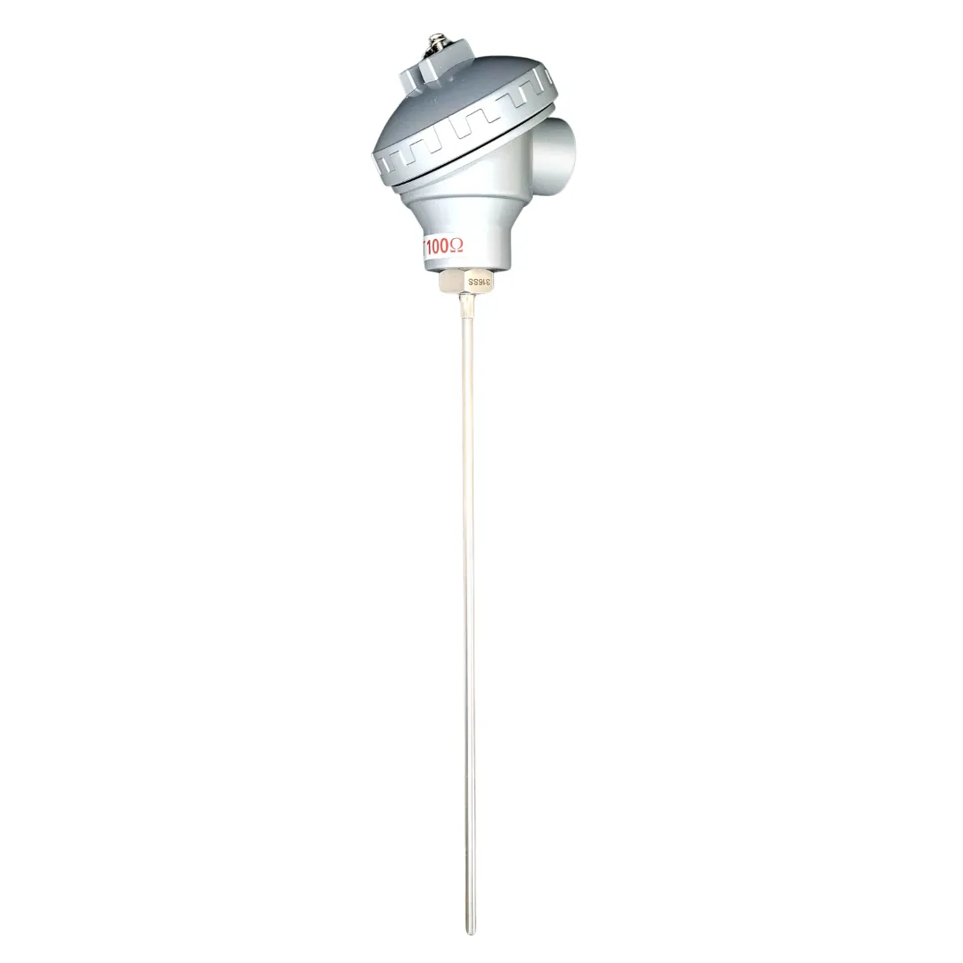 RTD Sensors with Large Terminal Head & Temperature Transmitter