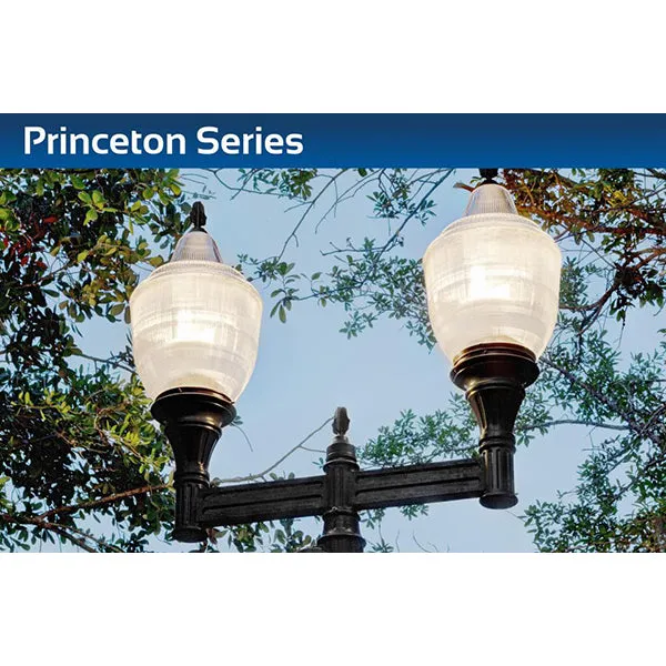Sternberg Lighting A65LED Princeton
