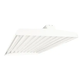 T8 FLUORESCENT CLS 10 LAMP LINEAR LIGHTING FIXTURE